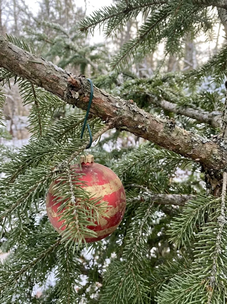 Check Branch Strength