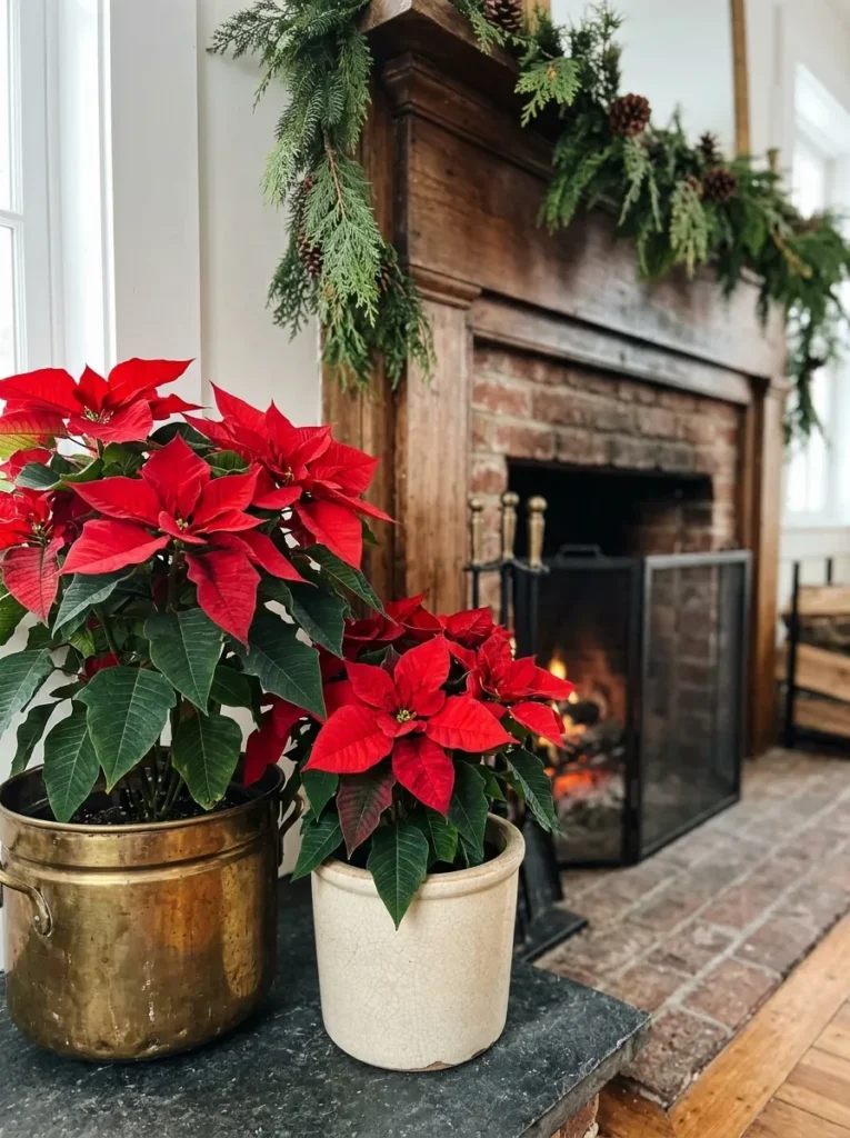 Poinsettia Planters