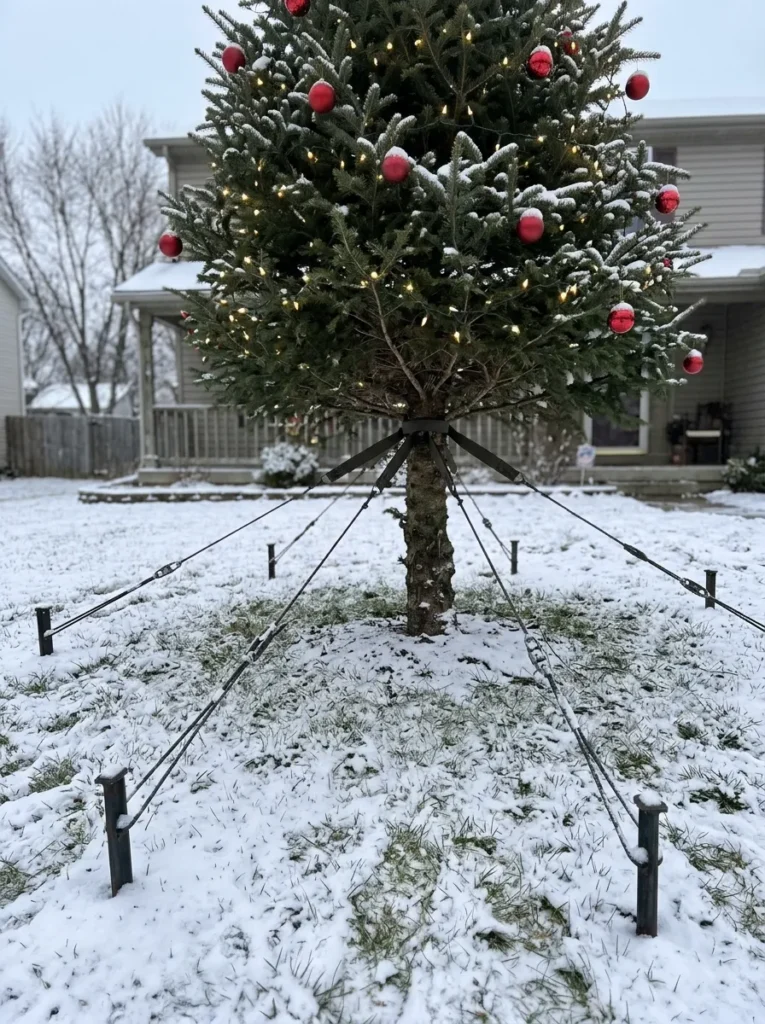 Stake Anchored Supports