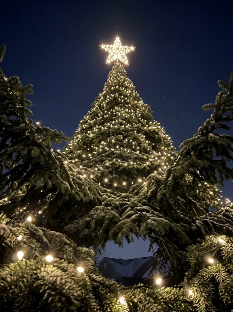 Star Light Topper